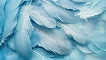 AI generated Beautiful abstract color white and blue feathers on white background and soft white feather texture on blue pattern and blue background, feather background, blue banners photo