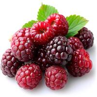 AI generated Ripe and tasty black mulberries on a white isolated background - AI generated image photo