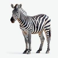 AI generated Zoo, Zebra on white isolated background - AI generated image photo