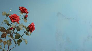 ai generado rojo rosas en contra un azul pared foto