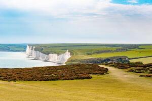 Scenic view of white cliffs by the sea with lush greenery under a clear sky at Seven Sisters, England. photo