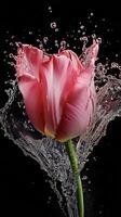 AI generated a pink tulip is splashing water in the air photo