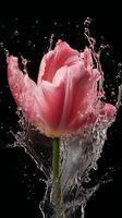 ai generado un rosado tulipán es salpicaduras agua en el aire foto