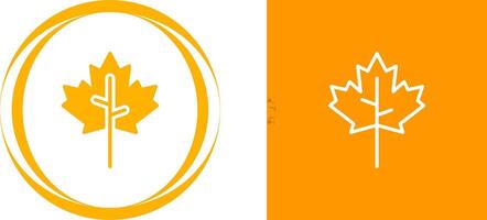 Maple leaf Vector Icon