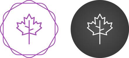 Maple leaf Vector Icon