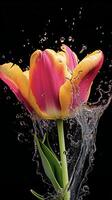 AI generated a pink tulip is splashing water in the air photo