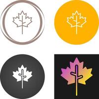 Maple leaf Vector Icon
