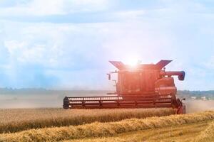 Harvester at work harvesting a field of wheat. Grain harvesting combine in a sunny day. Agricultural technic works in field. photo