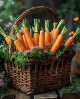 AI generated Fresh organic carrots in basket photo