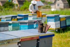 Colorful hives of bees on a meadow in summer. Hives in an apiary with bees flying to the landing boards. Apiculture. Bee smoker on hive. photo