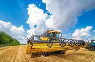 Grain harvesting combine in a sunny day. Yellow field with grain. Agricultural technic works in field. photo