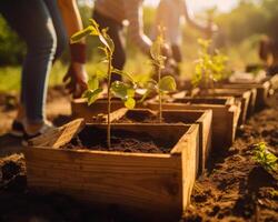 AI generated Young seedlings are planted in the garden and people are watering them by hand volunteering concept photo