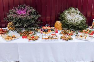 open-air buffet table, sandwiches on skewers before the start of the holiday against the background of flowering trees in the garden photo