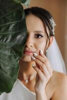 Portrait of an elegant girl in a white dress that covers the leaves of her face. Portrait of a young woman holding a green flower leaf on a colored background. photo