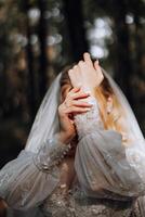 Wedding portrait. Curly blonde bride in a lace dress, posing in nature, covering her face with her hands. Beautiful hair and makeup. Daylight. Celebration. photo