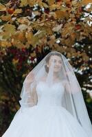 Wedding portrait. A brunette bride is posing in nature, covered with a long veil. Beautiful makeup. Lace dress. Autumn photo shoot