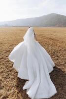 Brunette bride in a white dress with a long train, holding the dress and walking on the field. Wedding photo session in nature. Beautiful hair and makeup. Celebration