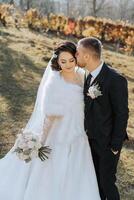 A young bride and groom tenderly embrace in the rays of the autumn sun. Tender and beautiful young girl bride. A man kisses his beloved. Against the background of a beautiful garden photo