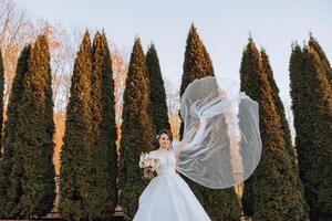 un morena novia en un voluminoso blanco vestir sostiene un ramo, posa el velo es arrojado dentro el aire. hermosa pelo y constituir. Boda foto sesión en naturaleza. largo tren de el vestir