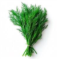 AI generated Dill, salad greens, white isolated background - AI generated image photo