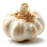 AI generated Garlic on a white isolated background - AI generated image photo