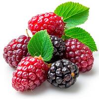 AI generated Ripe and tasty black mulberries on a white isolated background - AI generated image photo