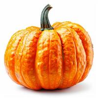 AI generated Studio shot of a beautiful decorative pumpkin on a clean white isolated background - AI generated image photo