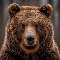 AI generated Brown bear, king of the forest - AI generated image photo