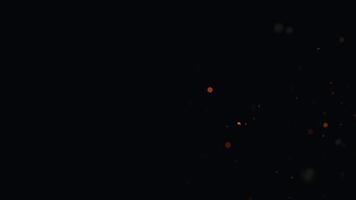 3d particles floating in slow motion on dark background. abstract slow motion animation with bokeh video