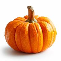 ai generado estudio Disparo de un hermosa decorativo calabaza en un limpiar blanco aislado antecedentes - ai generado imagen foto