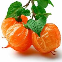 AI generated Physalis on a white isolated background - AI generated image photo