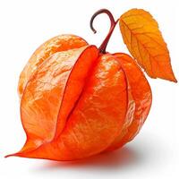 AI generated Physalis on a white isolated background - AI generated image photo