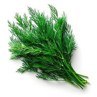 AI generated Dill, salad greens, white isolated background - AI generated image photo