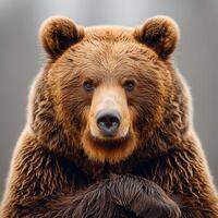 AI generated Brown bear, king of the forest - AI generated image photo