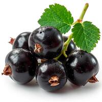 AI generated Black currant berries on a white isolated background - AI generated image photo