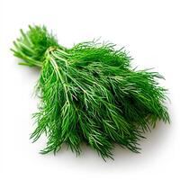 AI generated Dill, salad greens, white isolated background - AI generated image photo