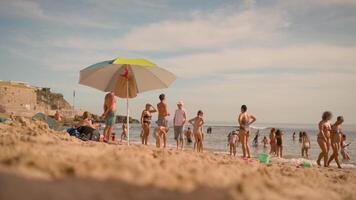 pessoas em a de praia com guarda-chuvas e uma Sol video