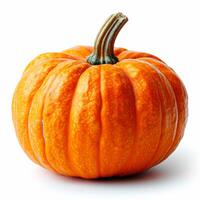 AI generated Studio shot of a beautiful decorative pumpkin on a clean white isolated background - AI generated image photo