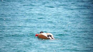 Sommer- Ferien Mann schwimmt auf ein aufblasbar Krapfen Matratze, ein Wasser Spielzeug schwimmen Ring. positiv glücklich Mann entspannend und genießen Familie Sommer- Reise Ferien Ferien auf das Meer. schleppend Bewegung video