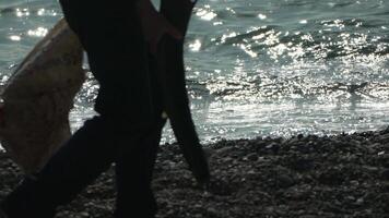 Garbage on beach - Elder Man collects garbage on beach after storm, maintaining cleanliness and preserving environment. video