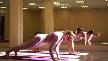 Due giovane sportivo donna, fitness istruttore nel rosa abbigliamento sportivo fare allungamento e pilates su yoga stuoia nel il studio con specchio. femmina fitness yoga routine concetto. salutare stile di vita e armonia. video