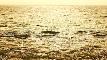 abstrato mar verão oceano pôr do sol natureza fundo. pequeno ondas em dourado água superfície dentro movimento borrão com dourado bokeh luzes a partir de Sol. feriado, período de férias e lazer. clima e clima mudança video