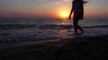 Frau auf Strand beim Sonnenuntergang. jung Reisender Gehen durch Meer Ozean Strand beim golden Sonnenuntergang Licht. weiblich Tourist genießen Natur während Sommer- Urlaub. schleppend Bewegung. Urlaub Erholung Konzept. video