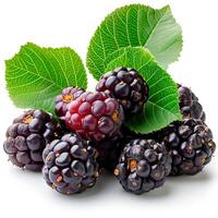 AI generated Ripe and tasty black mulberries on a white isolated background - AI generated image photo