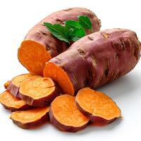 AI generated Yam on white isolated background - AI generated image photo