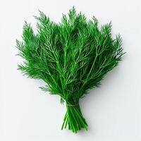 AI generated Dill, salad greens, white isolated background - AI generated image photo