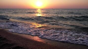 donna su spiaggia a tramonto. giovane viaggiatore a piedi di mare oceano spiaggia a d'oro tramonto luce. femmina turista godendo natura durante estate vacanza. lento movimento. vacanza ricreazione concetto. video