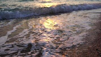 mujer en playa a puesta de sol. joven viajero caminando por mar Oceano playa a dorado puesta de sol ligero. hembra turista disfrutando naturaleza durante verano vacaciones. lento movimiento. fiesta recreación concepto. video