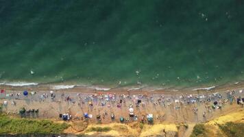 aéreo lapso de tiempo de arenoso playa, nadando personas en mar bahía con transparente azul agua a puesta de sol en verano. personas multitud relajante en playa. fiesta recreación concepto. resumen verano Oceano puesta de sol video