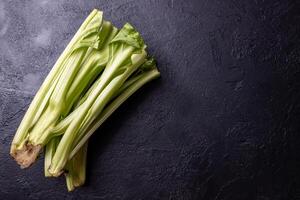 Chard stems on a dark background. photo